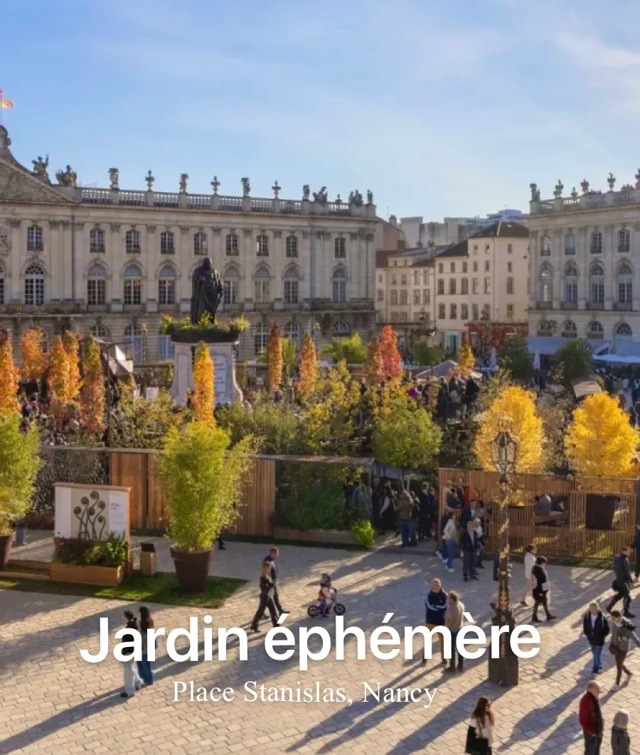 Jardin éphémère 🪴
